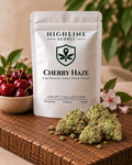 Cherry Haze Flower